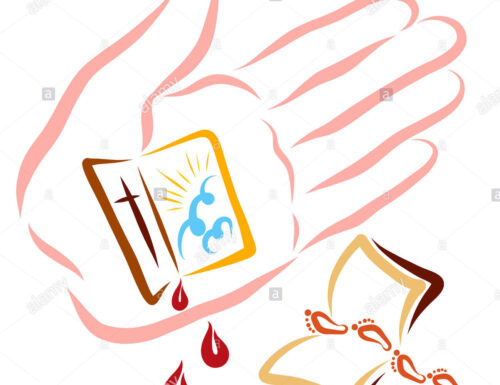 Io Credo in Gesù Cristo! – Gv 7, 40-53